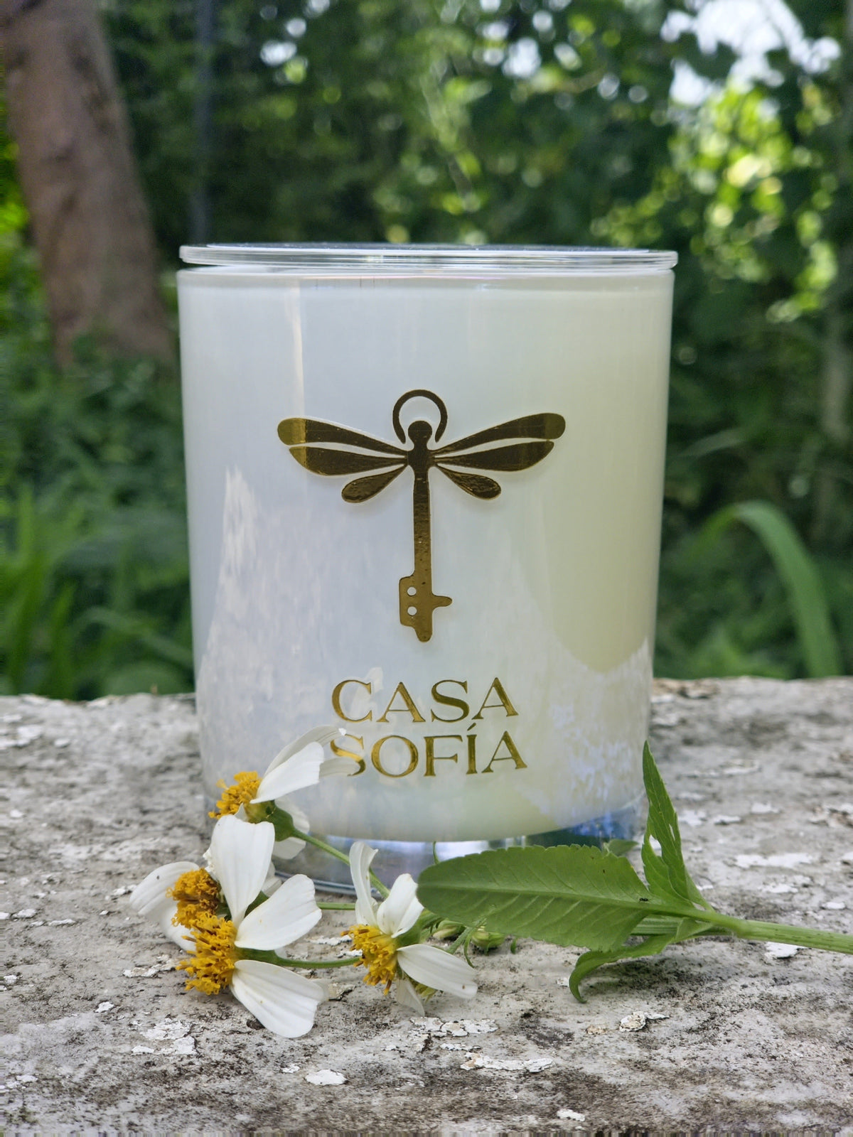 Colección Sofia (Floral)