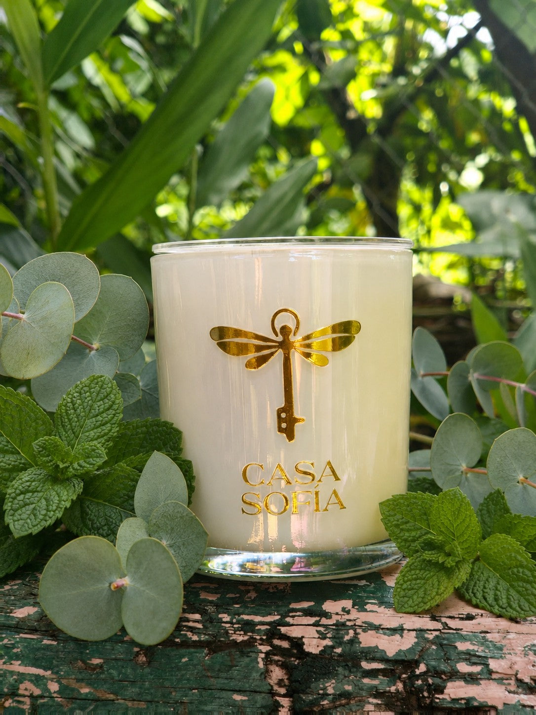 Colección Fresca (Aromatic)