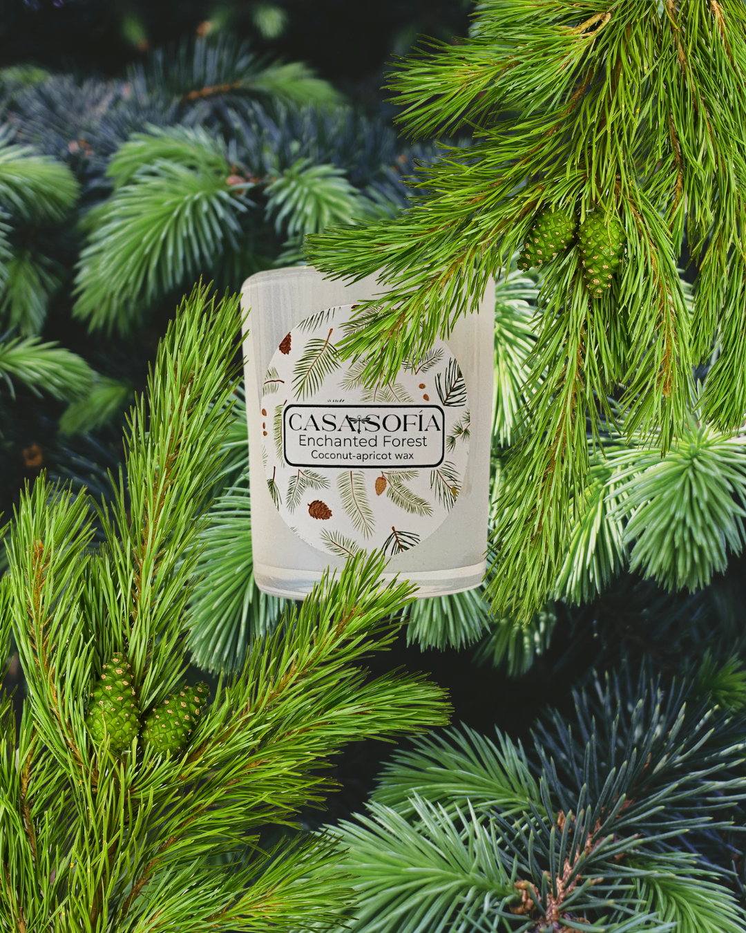 Enchanted Forest (Cypress / Cedar / Fir ) Vela aromática (6oz)