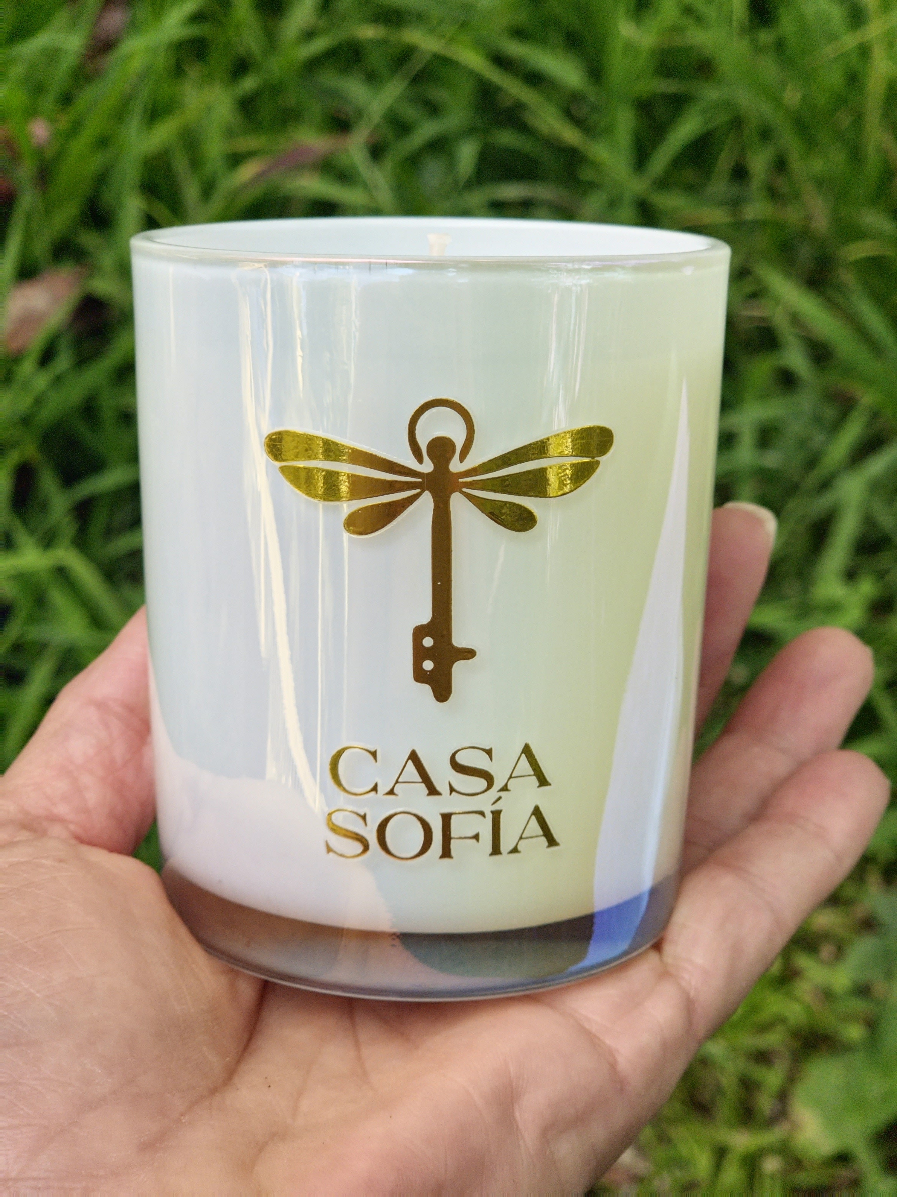 Paz de Lavanda - Lavender Serenity